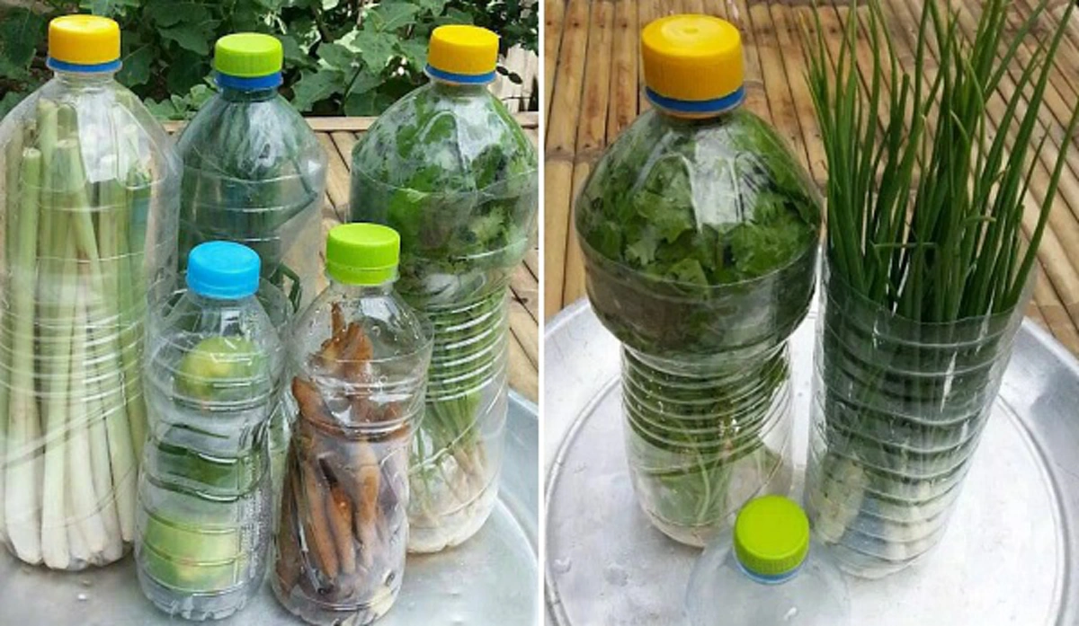 เเชร์เก็บไว้เลย!!วิธีเก็บผักชี ต้นหอมให้ใช้ได้นานๆ เคล็ดลับดีๆที่เเม่บ้านควรทำตาม(มีคลิป)