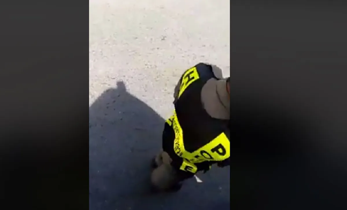 เดินหนีเเทบไม่ทัน?!! "ตร."ยืนดักโบก" รถบรรทุก"เส้นบางปะอิน..โวยวายเเหลกจะเอาผิดให้ได้?!! เจอคนจริงเถียงสู้ขาดใจ??กฏหมายเเน่น!! (คลิป)