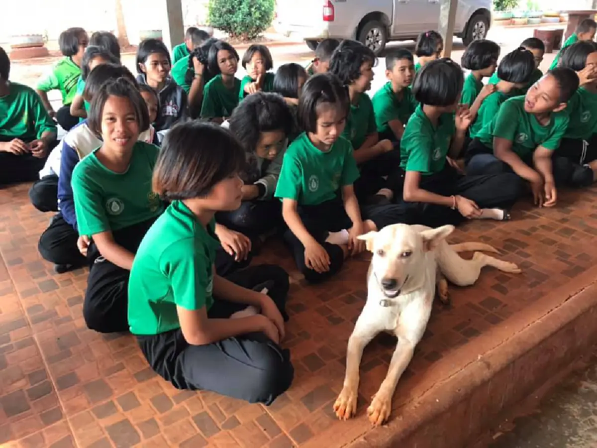 \"เจ้าตูบกะทิ\" เข้ากลุ่มทำกิจกรรมกับน้องๆนักเรียน คุณครูเห็นภาพยังต้องแซว #หมาเนียนเก่ง อีกนิดจะเลื่อนขั้นให้เป็นหัวหน้าห้อง