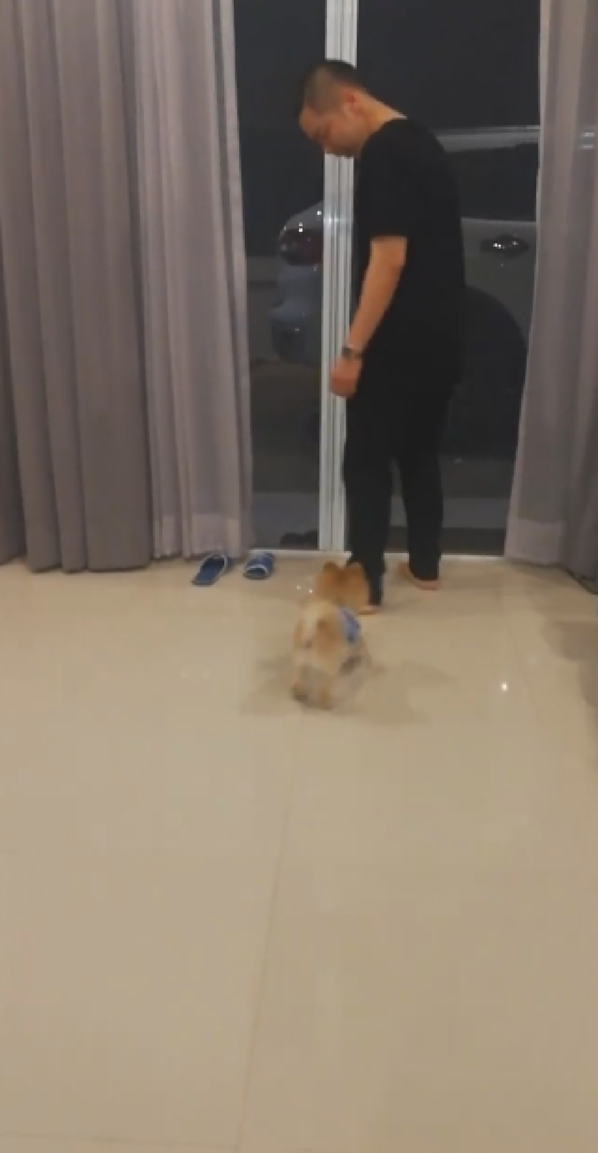 พ่อจ๋าหนูไม่ให้ไป!! "น้องหมา" กอดขาเจ้าของเอาไว้!? ไม่ให้ไปข้างนอก! ทำเอาคนดูถึงกับยิ้มไม่หุบ เอ็นดูในความน่ารัก!! (ชมคลิป)