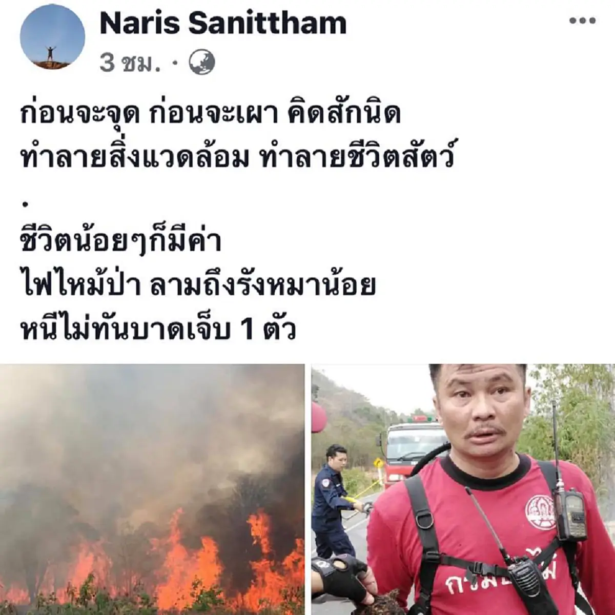 \"ตูบน้อย\"เผชิญชะตากรรมโดนมนุษย์ไล่เผาไร่หญ้า ชื่นชมมากๆจนท.ช่วยชีวิตไว้\"บุญรอด\"ชื่อนี้เหมาะสุด