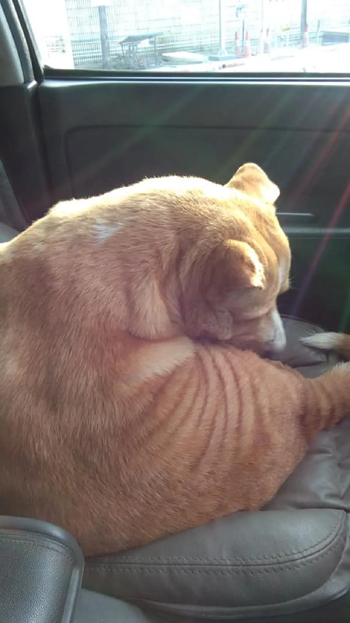 หนุ่มเลิกราภรรยา ฝ่ายหญิงทิ้งตูบไว้ดูต่างหน้า เลี้ยงเองมา 5 ปี รักสุด ๆ