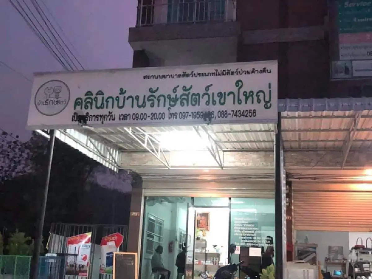 \"ตูบน้อย\"เผชิญชะตากรรมโดนมนุษย์ไล่เผาไร่หญ้า ชื่นชมมากๆจนท.ช่วยชีวิตไว้\"บุญรอด\"ชื่อนี้เหมาะสุด
