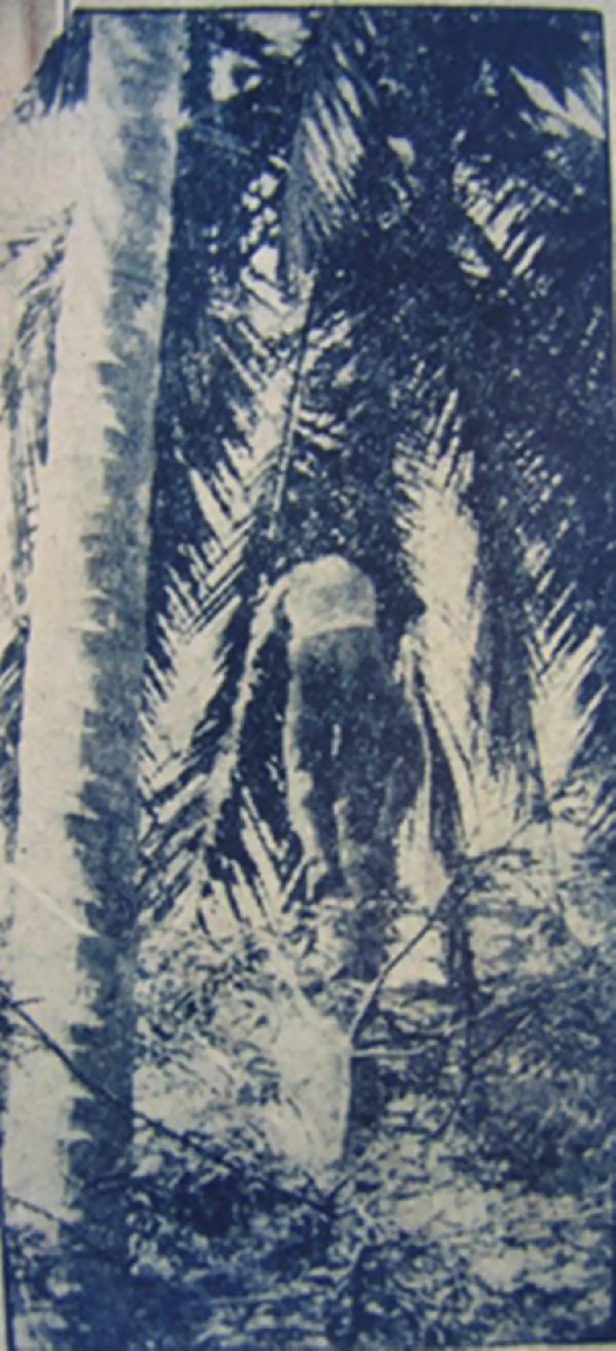 เปิดตำนานคดีประวัติศาสตร์ !!! กลุ่มโจรสุดอุกอาจที่สุดแห่งยุค ผู้กล้าลูบคม จอมพลสฤษดิ์ !!! การปล้นครั้งยิ่งใหญ่ที่สุดในประเทศไทย !!!