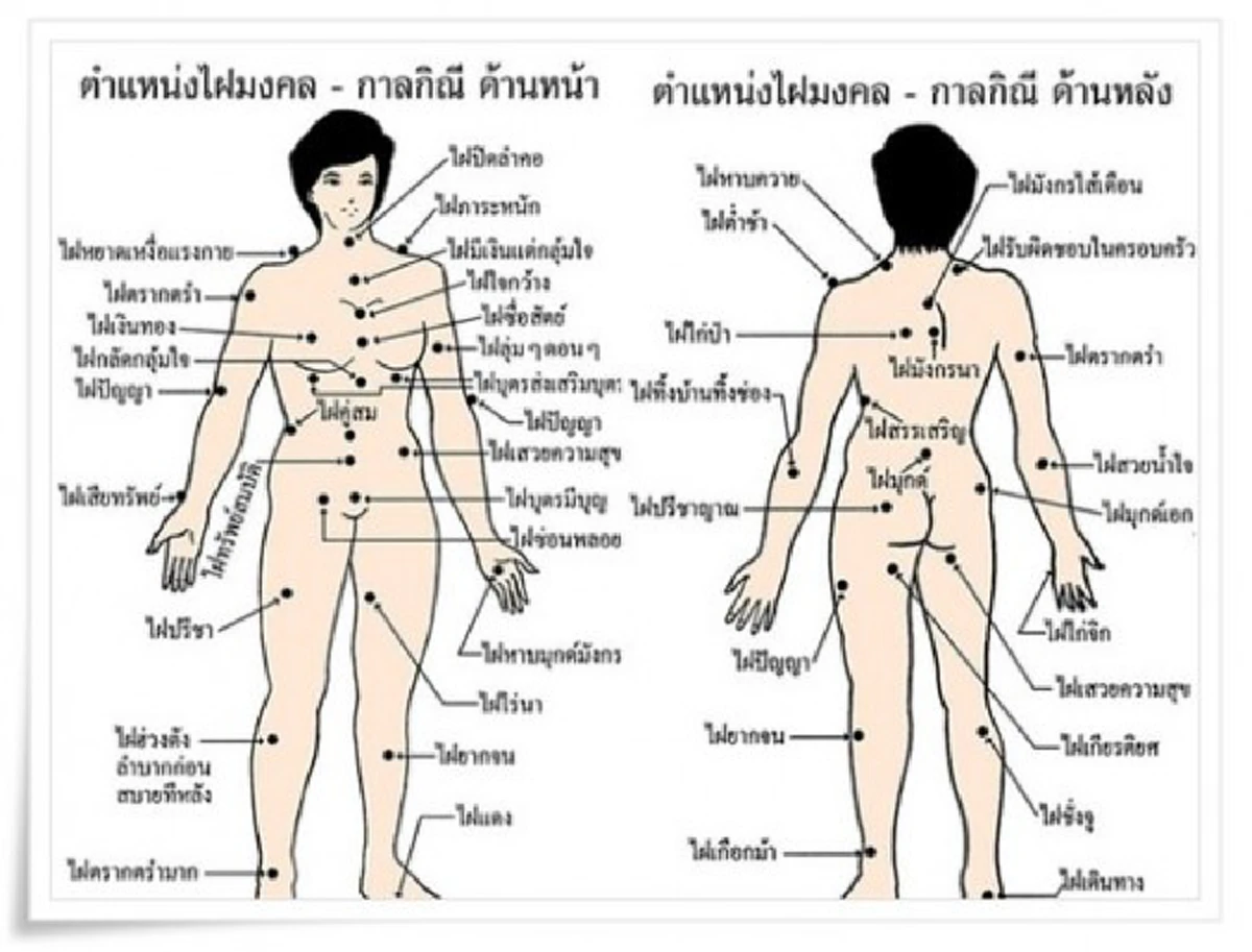 เช็คด่วน!! ตำแหน่ง “ไฝ” ตามร่างกาย ทำนายดวงชะตา เม็ดไหนดี เม็ดไหนไม่ดี ตำแหน่งไหนต้องเก็บ ตำแหน่งไหนควรกำจัด!