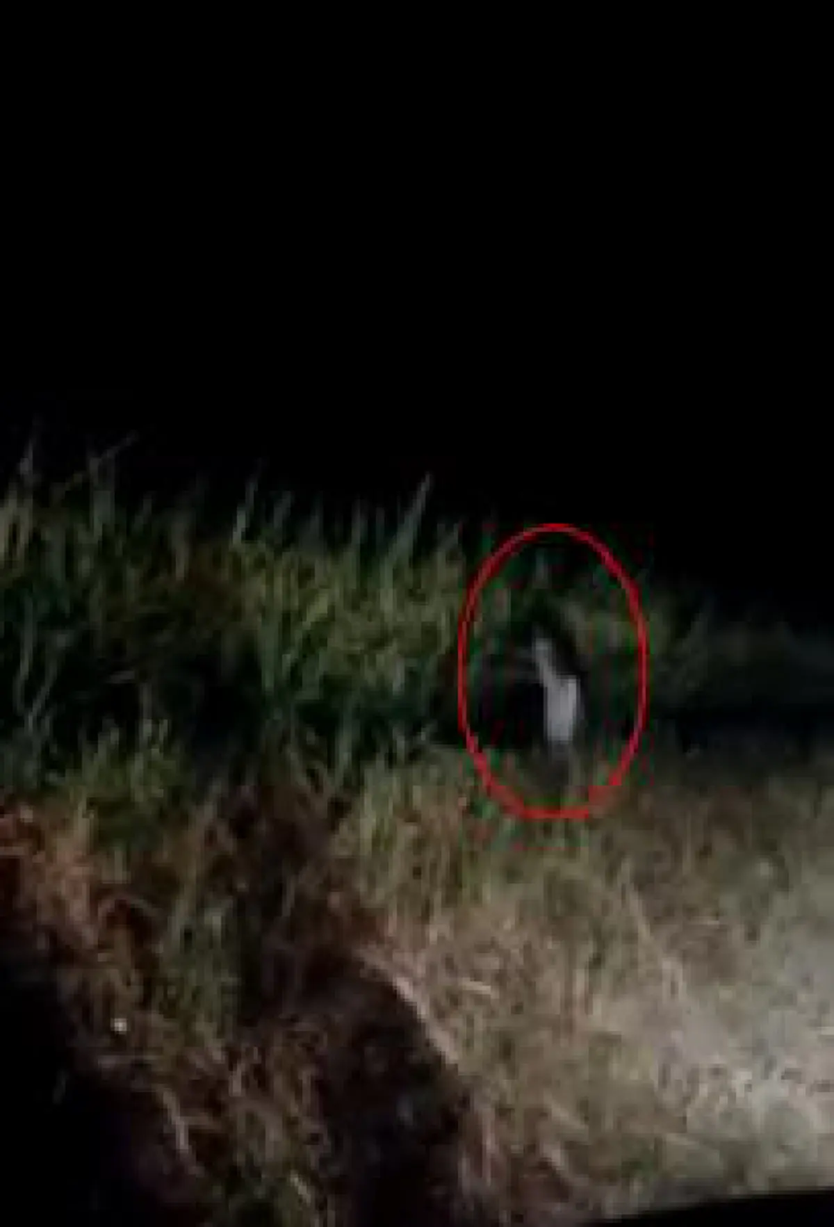 ตกใจหมด! เผยคลิป "ผีกองกอย" เวอร์ชั่นเต็มๆ กระโดดอย่างกับในหนัง แต่ตอนจบสุดพีค?!! (คลิป)