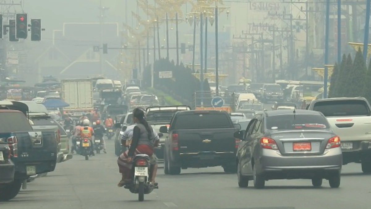 เชียงราย สั่งห้ามเผายาว หวังฝุ่นลด