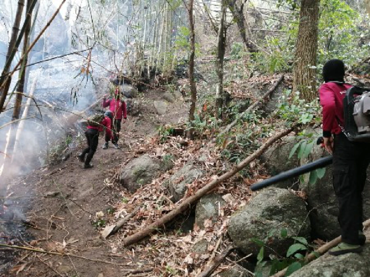 เชียงรายสั่งห้ามเผายาวถึงสิ้นเดือนเมษา หลังฝุ่นพิษหวนคลุมเมืองซ้ำ