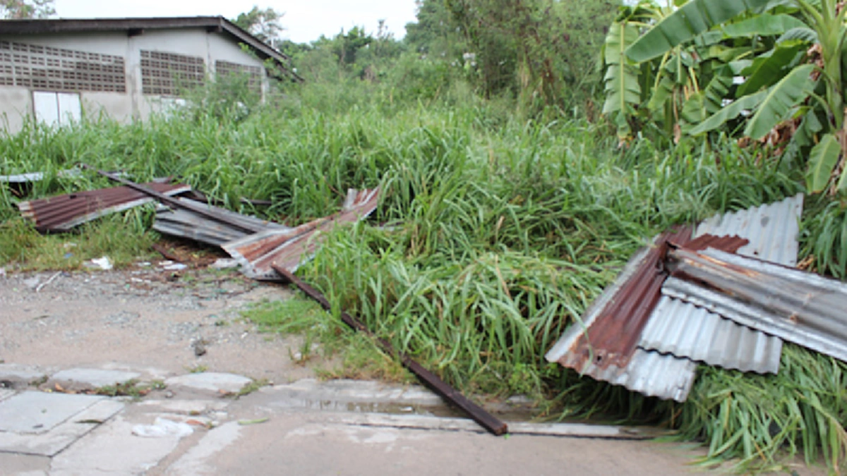 พายุฝน-ลมแรงพัดถล่ม จ.ชลบุรี จนประชาชนได้รับความเดือดร้อน