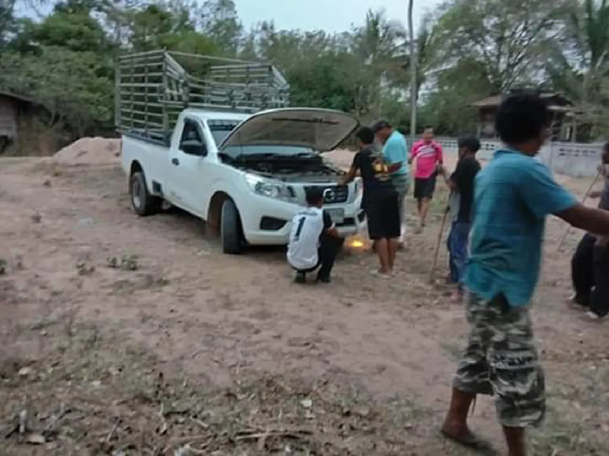 หนุ่มใหญ่ ขาสั่นขับรถกลับจากสวน พกพญาจงอาง กลับบ้าน ชูคอขู่ฝ่อๆ