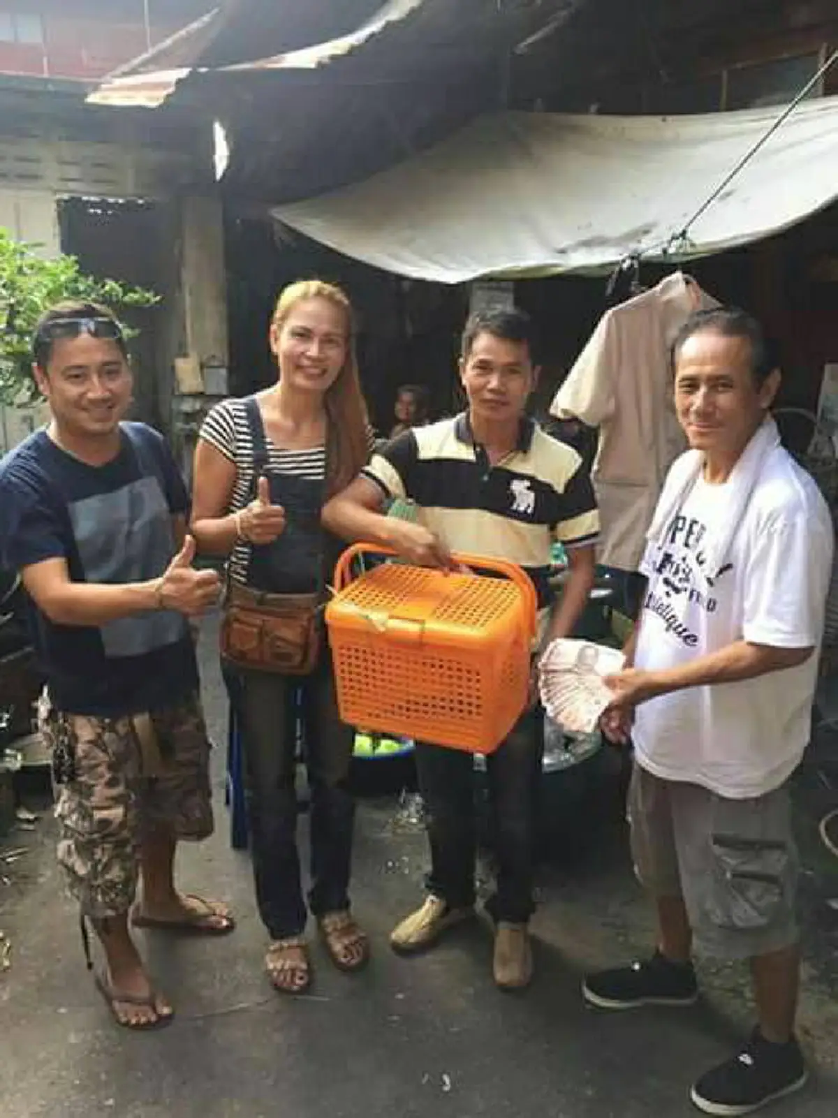 สาวโพสต์ รับซื้อ"ตุ๊กเเก" ซื้อจริงไม่ได้โม้ ราคาตามขนาด หลักร้อยถึงหลักล้าน