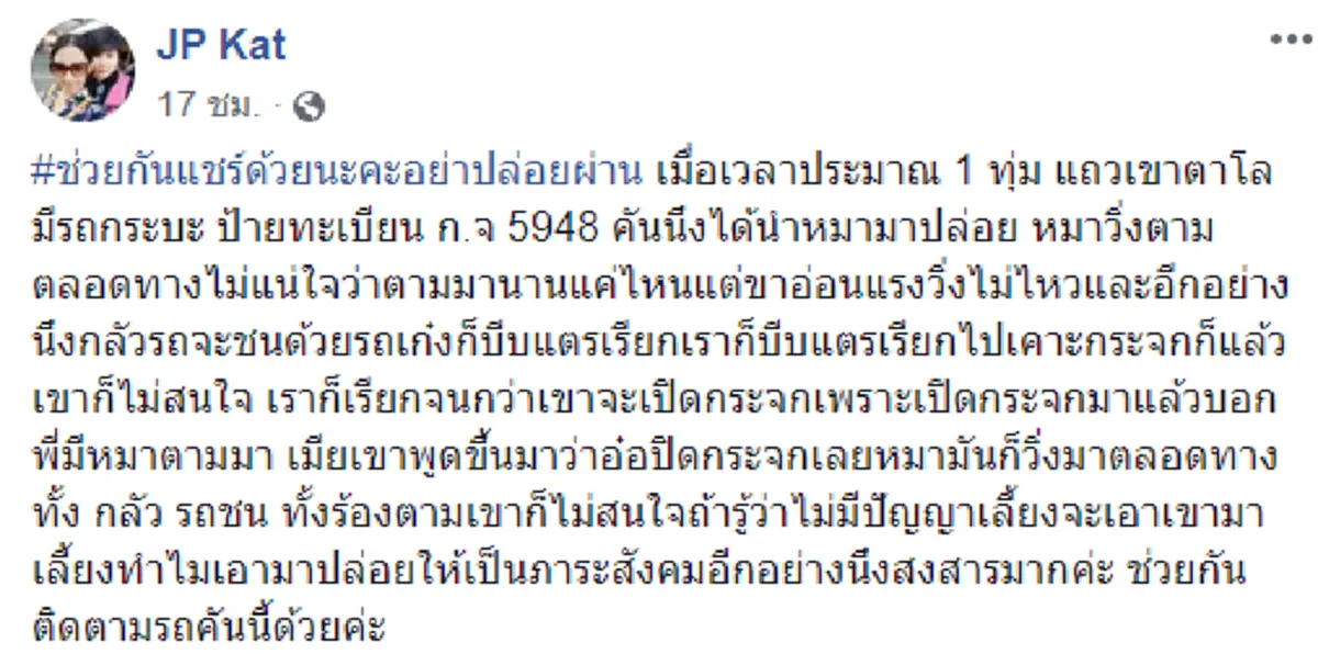 เจ้าของกระบะนำสุนัขปล่อยทิ้งกลางทาง ตูบแสนซื่อวิ่งตามจนแทบหมดแรง (คลิป)