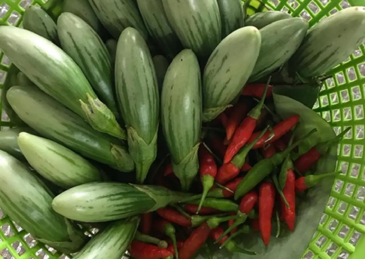 ผิดคาดไปจริงๆ!!! ส่องชีวิตภรรยา "เสี่ยตา" แม้ร่ำรวยมหาศาล ยังขยันช่วยสามีหารายได้เสริม แถมทำตัวติดดิน...อยู่แบบพอเพียงสุดๆ!? (คลิป)