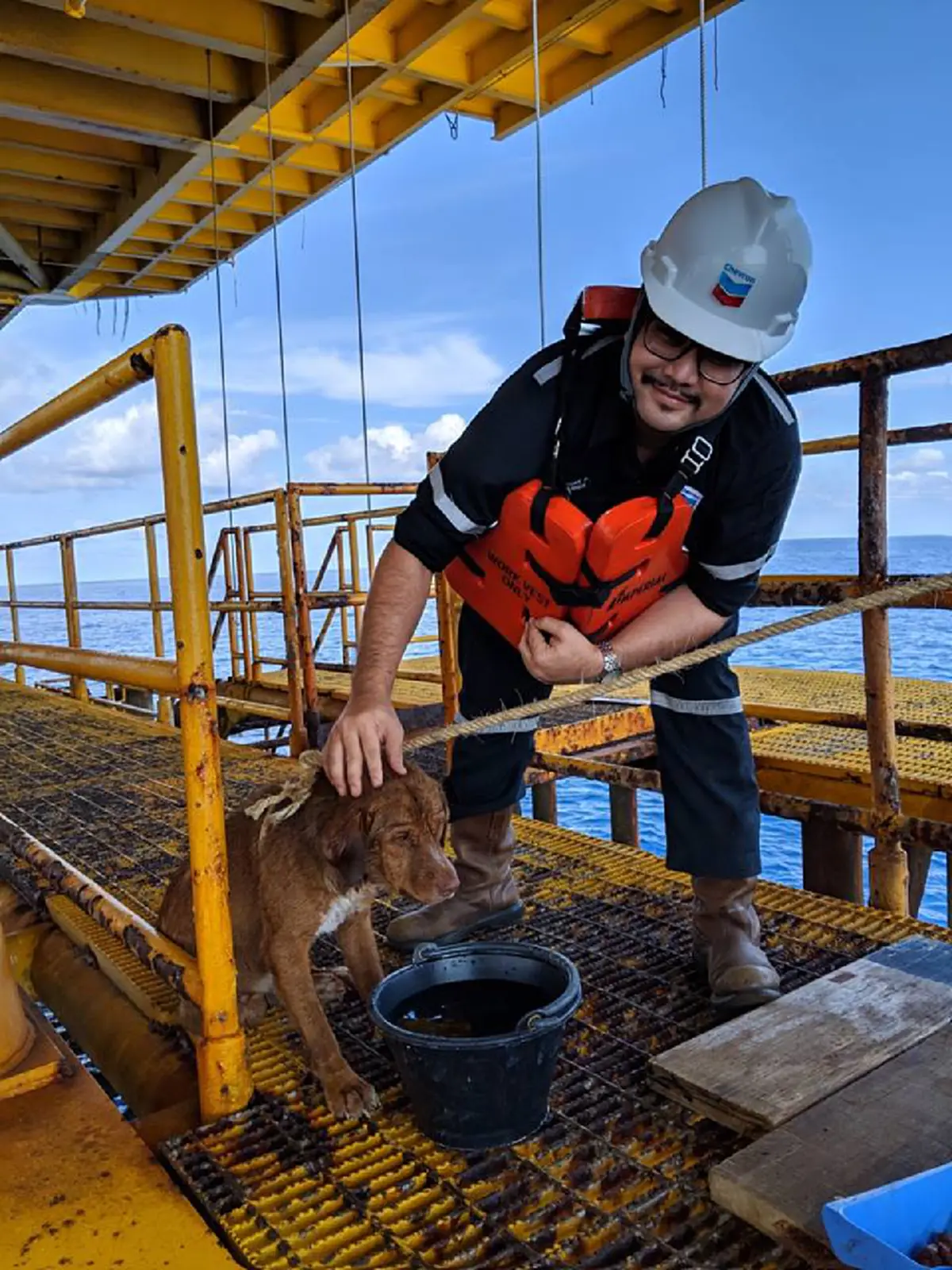 หนุ่มช่วยชีวิต เจ้าตูบบุญรอดหนีจากเรือประมง ลอยคอกลางทะเล โชคดีมาเกาะแท่นผลิตก๊าซกลางอ่าวไทย(คลิป)
