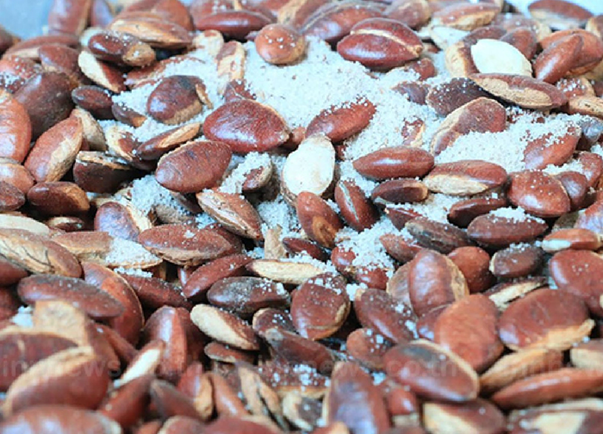 รู้แล้วจะอึ้ง!!!!  "เม็ดกระบก" สุดยอดอัลมอนด์อีสาน มีประโยชน์มากกว่าที่คิด รีบหามาทานให้ไว!!!