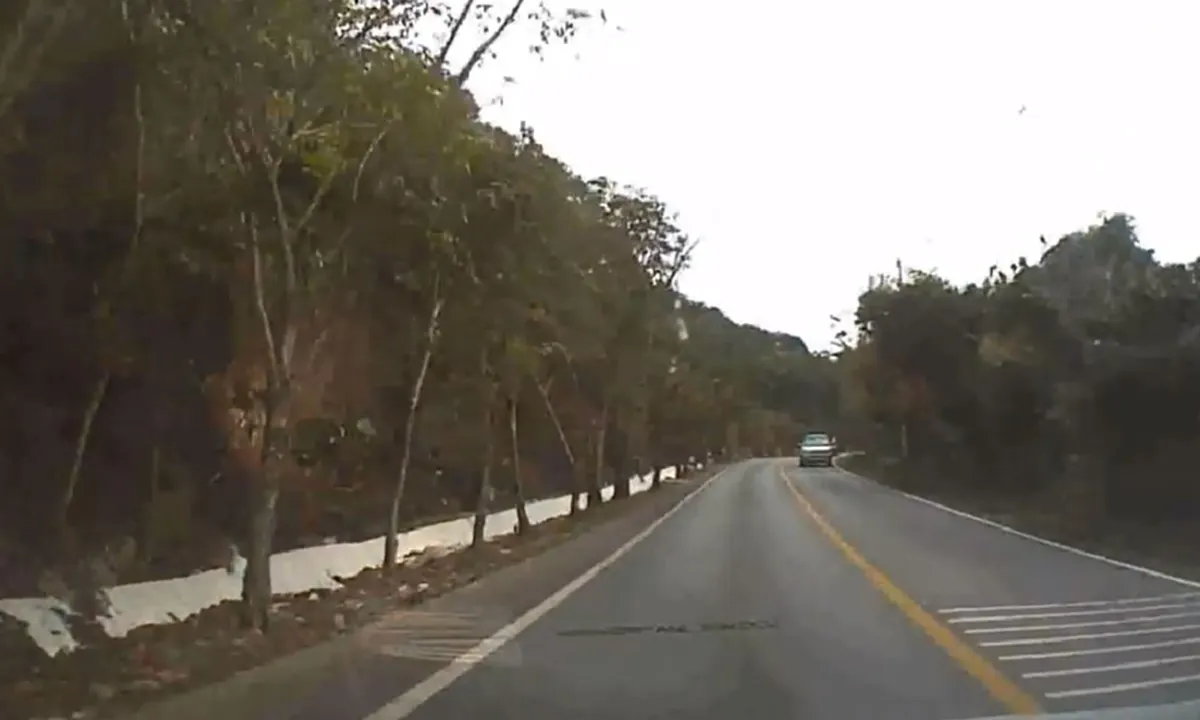 อันตรายสุดๆ!!  "รถบัส"มักง่ายขับเเซงกันดื้อๆ..ทำรถอีกฝั่งเบรคตัวโก่ง หวิดเกิดอุบัติเหตุ!! ทางขึ้น-ลงเขา มันสมควรขับเเบบนี้ไหม??!! (ชมคลิป)