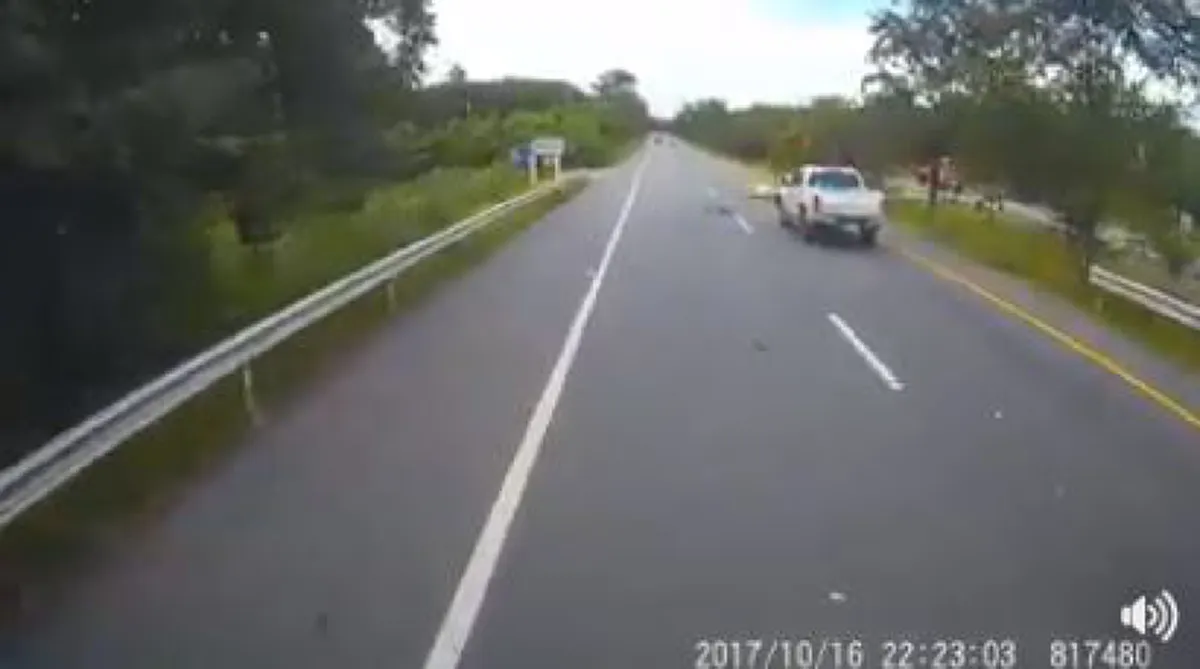 ตูมสนั่นเข้าเต็มลำ !?! ระทึกสุดขีด กระบะชนวัวลอยเคว้งกลางอากาศร่วงกระแทกพื้น....คนเลี้ยงวัวต้องดูไว้ (มีคลิป)