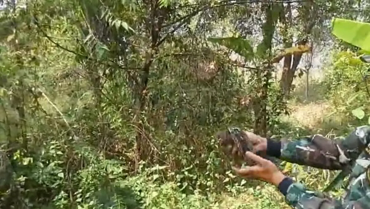 เจ้าหน้าที่พิทักษ์ป่า!!! วีระบุรุษแห่งท้องทุ่ง กับการช่วยชีวิตสัตว์โลก งานนี้ลั่นชัด ทำตรงข้ามกับเปรมชัย (ชมคลิป)