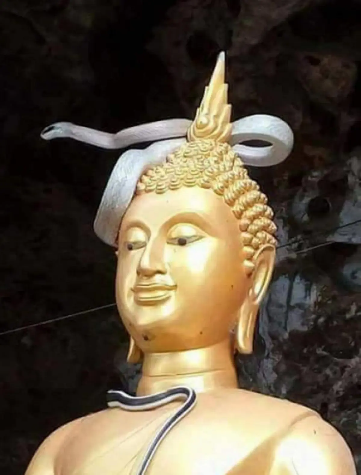 คอหวยแห่ส่อง งูเลื้อยขึ้นเศียรพระ ที่สปป.ลาว ชาวเน็ตเชื่อมาให้พรแก่ผู้พบเห็น (ภาพ+รายละเอียด)