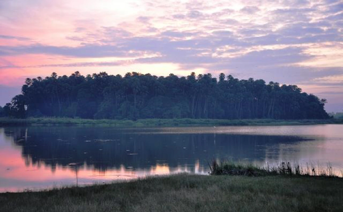 ข้อควรรู้ สิ่งต้องห้าม !!! ในการไป "ป่าคำชะโนด" กับ คดีสุดสยอง "กลุ่มนักศึกษาผูกคอตาย" ที่ยังหาคำตอบไม่ได้ !!! อาถรรพ์คำชะโนด !!!