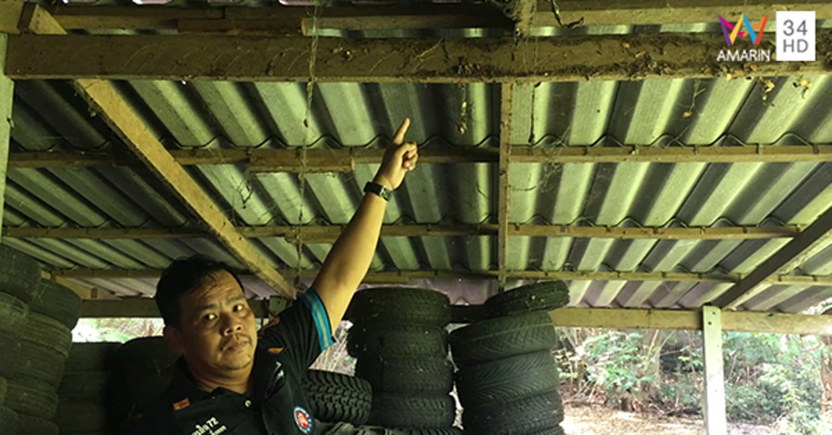 ผวา! หนุ่มมาเลือกซื้อยางเก่า โดน"งูเหลือมยักษ์"ยาว 4 เมตร พุ่งฉกหัวอย่างจัง บาดเจ็บ