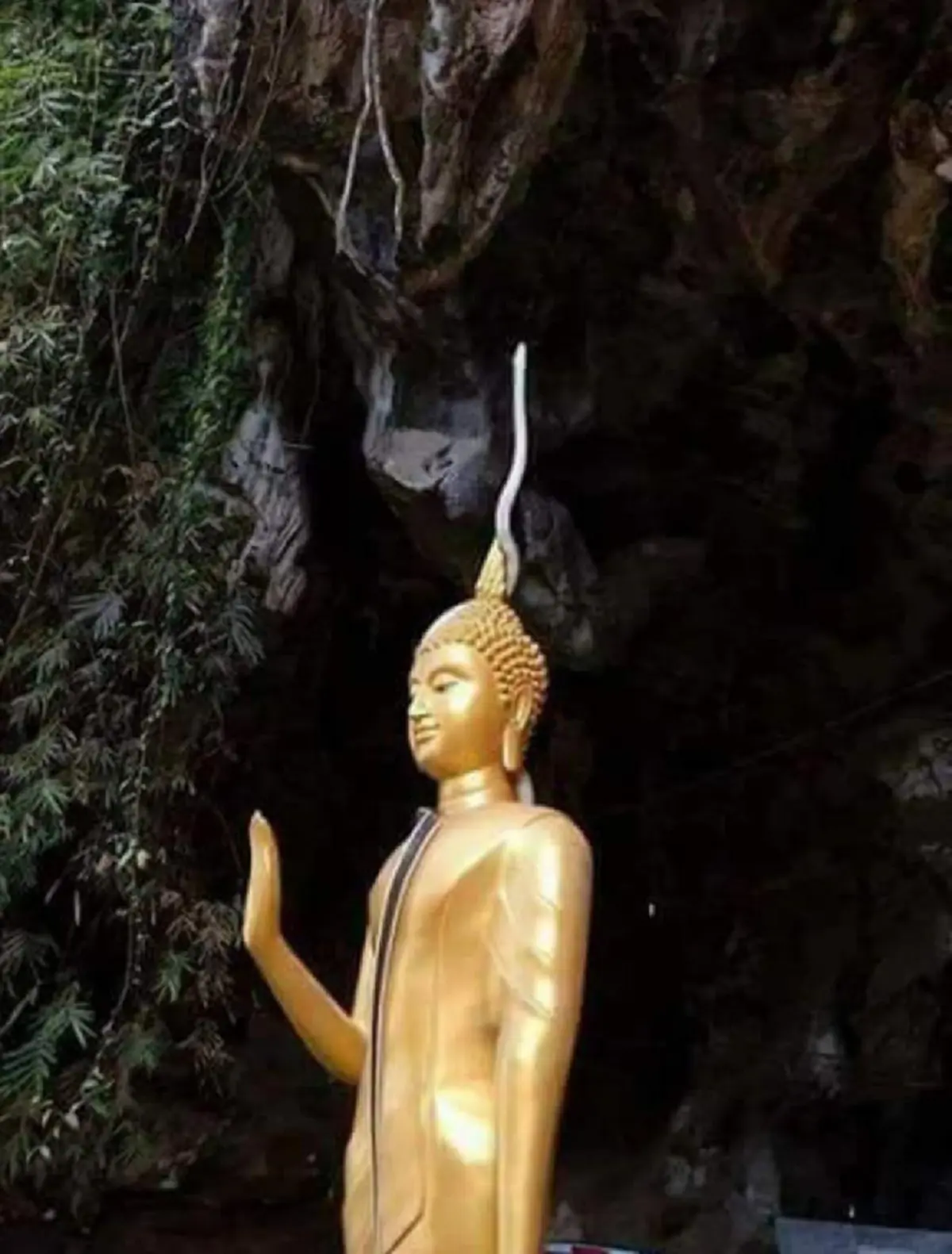 คอหวยแห่ส่อง งูเลื้อยขึ้นเศียรพระ ที่สปป.ลาว ชาวเน็ตเชื่อมาให้พรแก่ผู้พบเห็น (ภาพ+รายละเอียด)