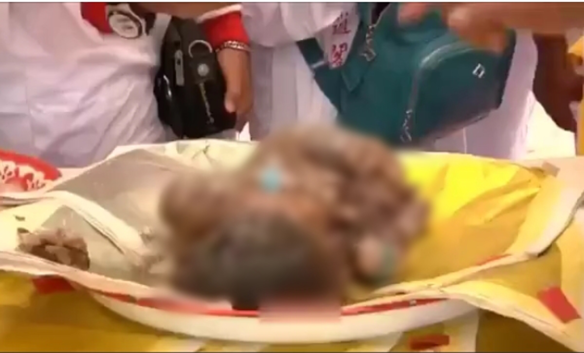 แตกตื่น!!! ขุดพบศพเด็กทารกในพิธีล้างป่าช้า ถูกฝังมานานกว่า 4 ปี ร่างไม่เน่าเปื่อย ชาวบ้านเรียก "กุมารทอง" เชื่อว่ามาให้โชค คอหวยเตรียมลุ้น!