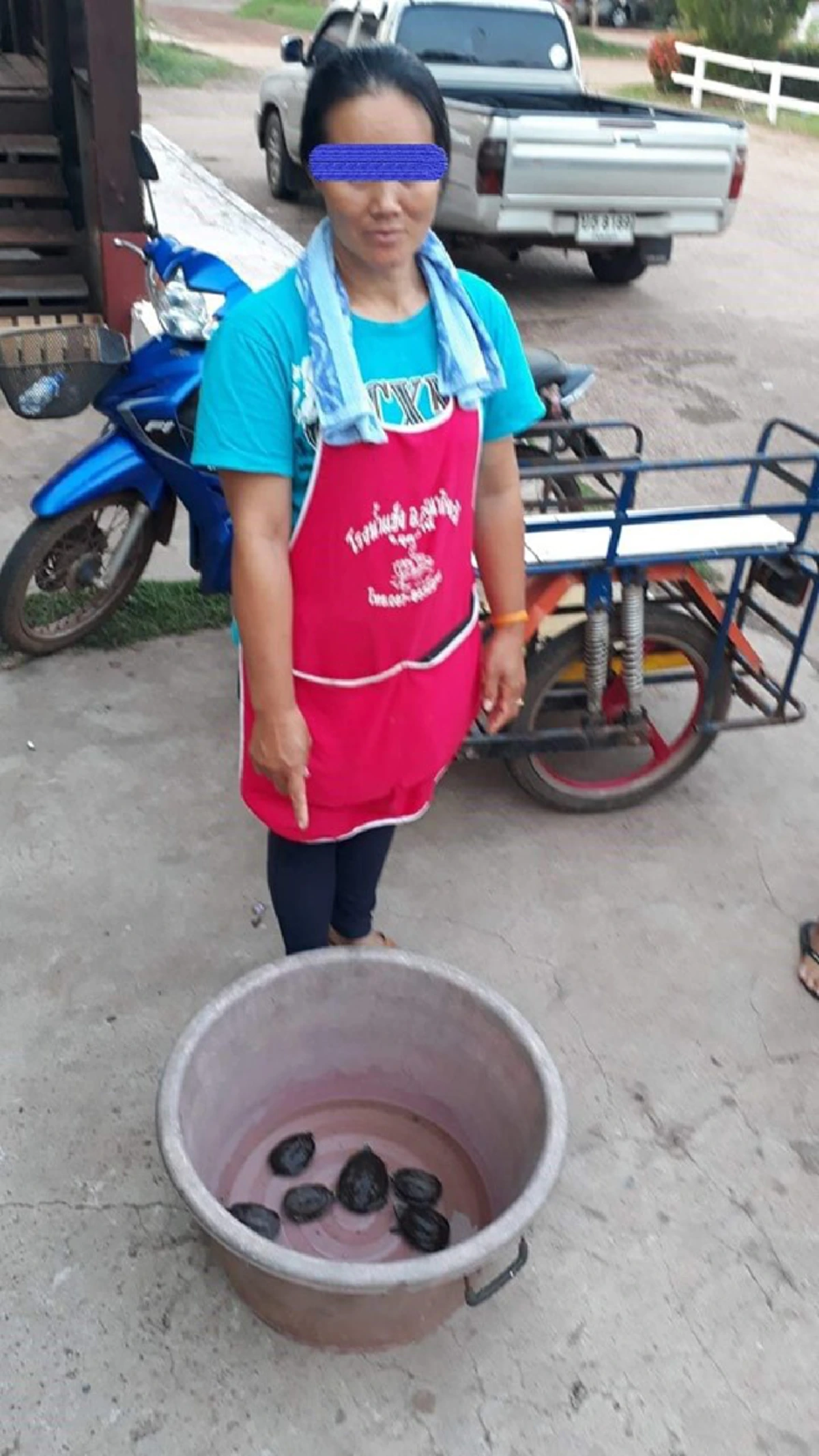 รวบแม่ค้าในตลาด ขายเต่านา ถือเป็นสัตว์สงวน
