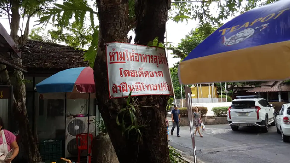 มีโทษปรับ อุทยานฯน้ำตกนางรอง ติดป้ายห้ามให้อาหารสุนัข