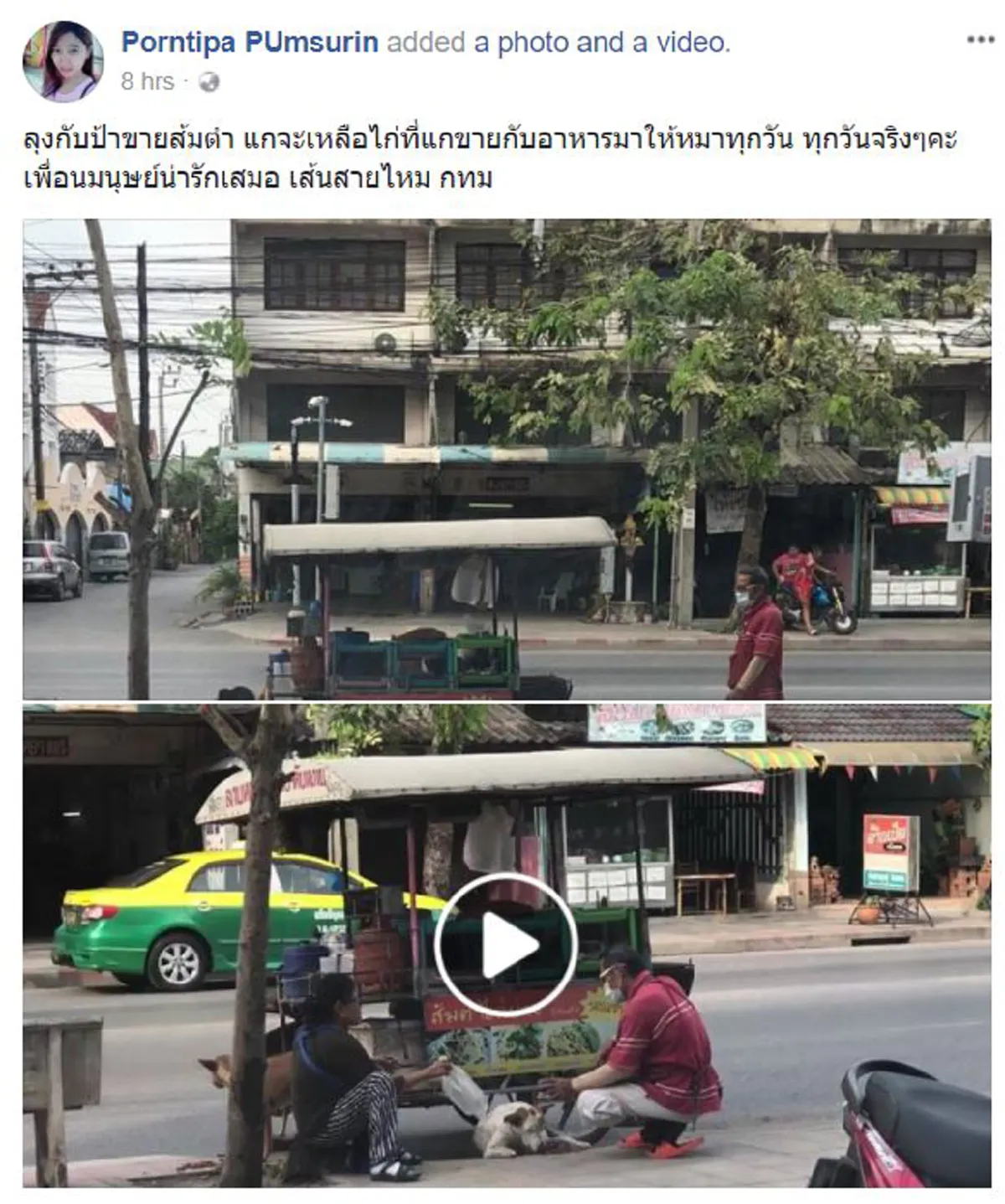 น้ำใจอันยิ่งใหญ่..!! "คุณลุง" ,"คุณป้า"เข็นขายส้มตำ จอดเเวะเอาไก่ย่างป้อนให้"เจ้าตูบ"ข้างถนนทุกวัน  (ดูคลิป)