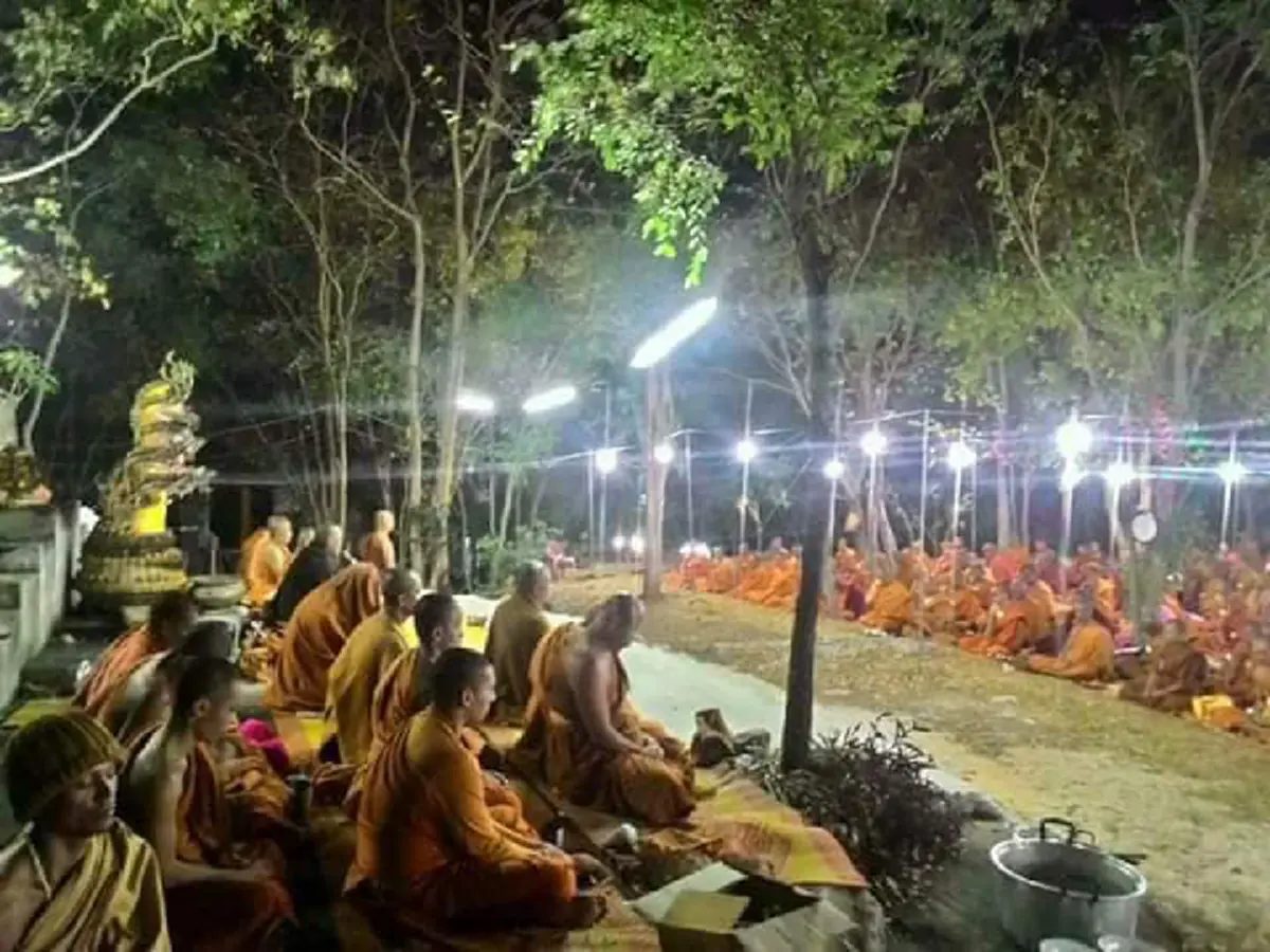 งูเหลือม เลื้อยออกจากป่า ร่วมฟังธรรม ขณะพระสงฆ์ปฏิบัติศาสนกิจ