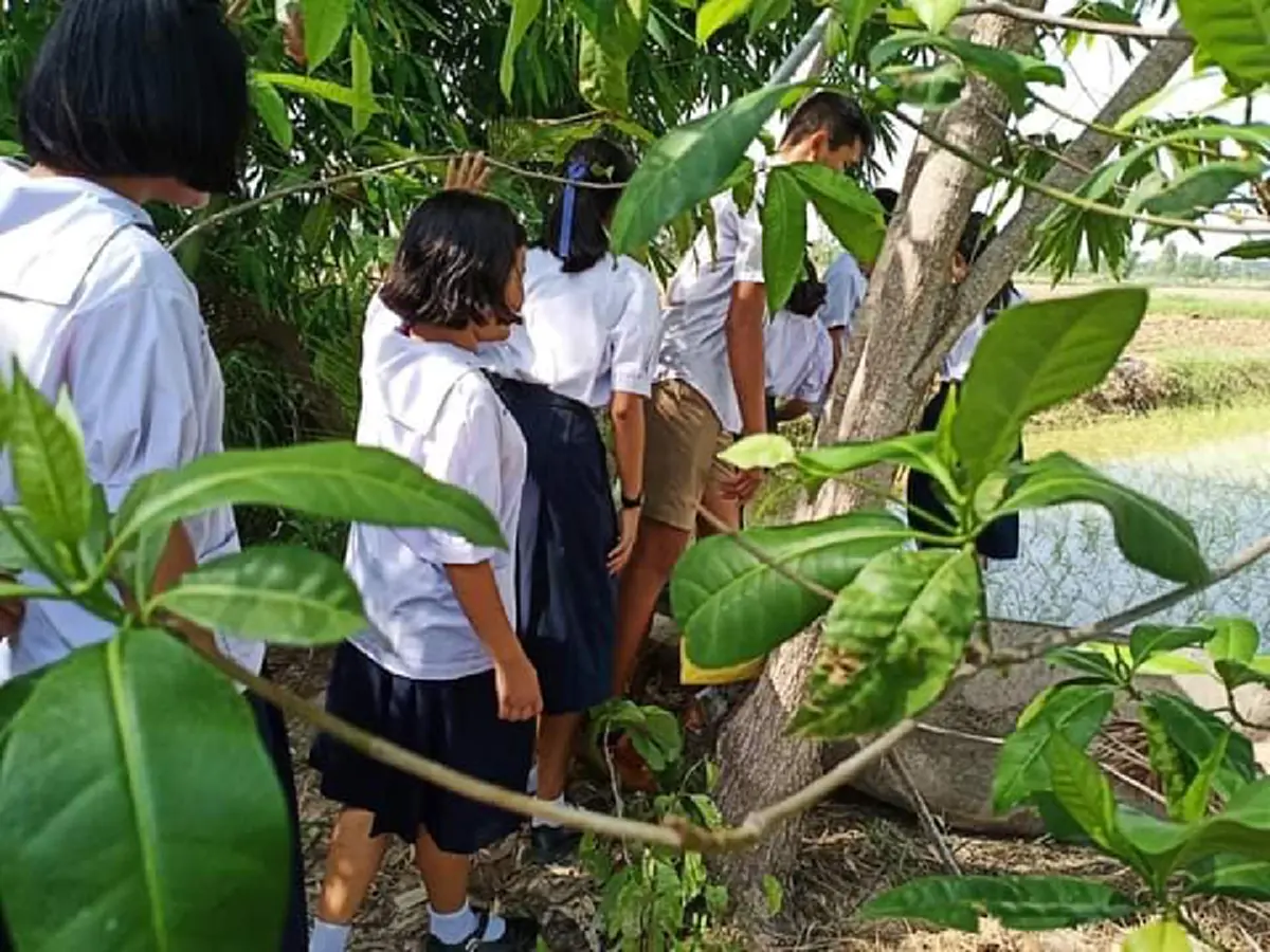 ภาพเด็กนร.ยโสธรพร้อมใจไปกราบรำลึกพระคุณอดีตครูถึงกลางทุ่งนา