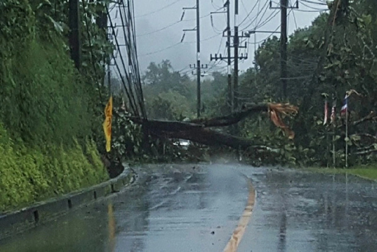 ด่วนมาก..รู้แล้วแชร์ต่อ! “กรมอุตุฯ” เตือน วันนี้ 20 จังหวัด ต่อไปนี้...จะมีพายุฤดูร้อน ฝนฟ้าคะนอง ลมกระโชกแรง หลายพื้นที่ (รายละเอียด)