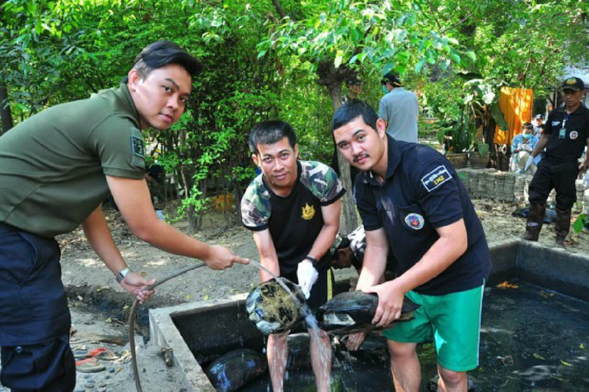 กรมอุทยานฯ เร่งตรวจสอบด่วน ! หลังชาวบ้านแจ้งพบเต่านับร้อยในวัดสุวรรณประสิทธิ์