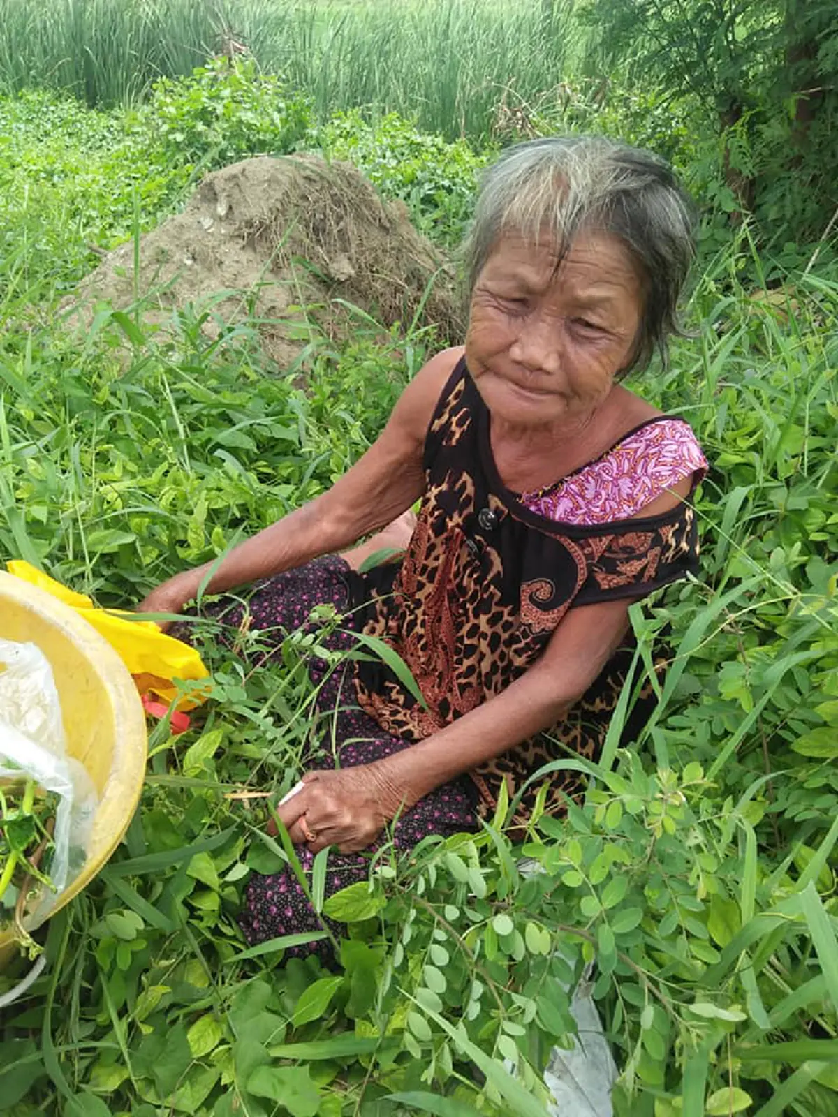 สาวเล่า เห็นยายชรานั่งอยู่ในป่า เดินเข้าไปเตือนมันอันตรายงูมันเยอะ พอถามสาเหตุทำน้ำตาซึม ยื่นเงินให้ทันที ขอให้ยายเจอคนดีๆเข้ามาช่วย