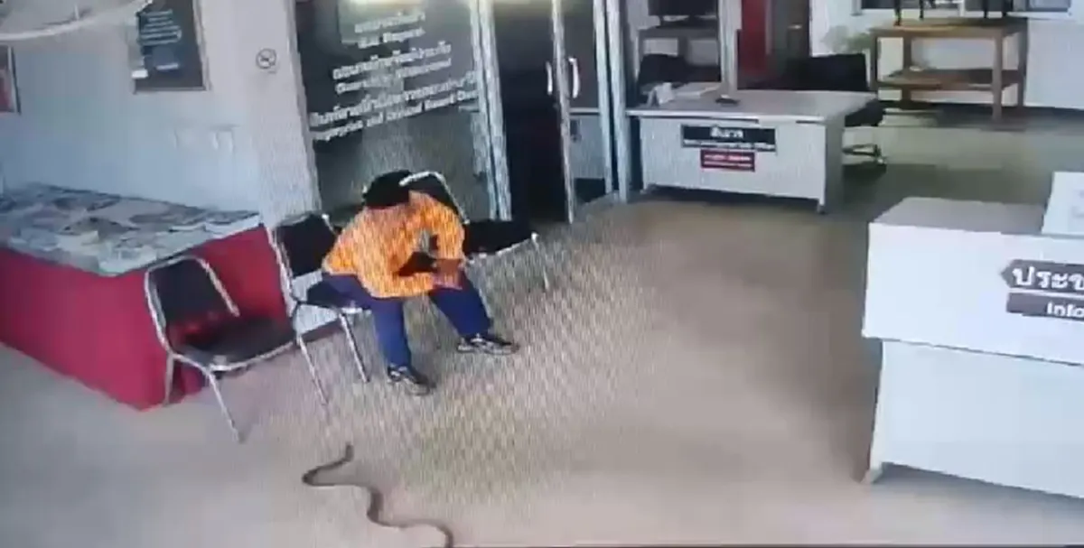 "หนุ่มใหญ่เสื้อส้ม"ทั้งชีวิตไม่เคยจับงูมาก่อน นำปล่อยคืนสู่ธรรมชาติ เชื่อมาให้โชคโรงพักใหม่"สภ.ไผ่โทน" (คลิป)