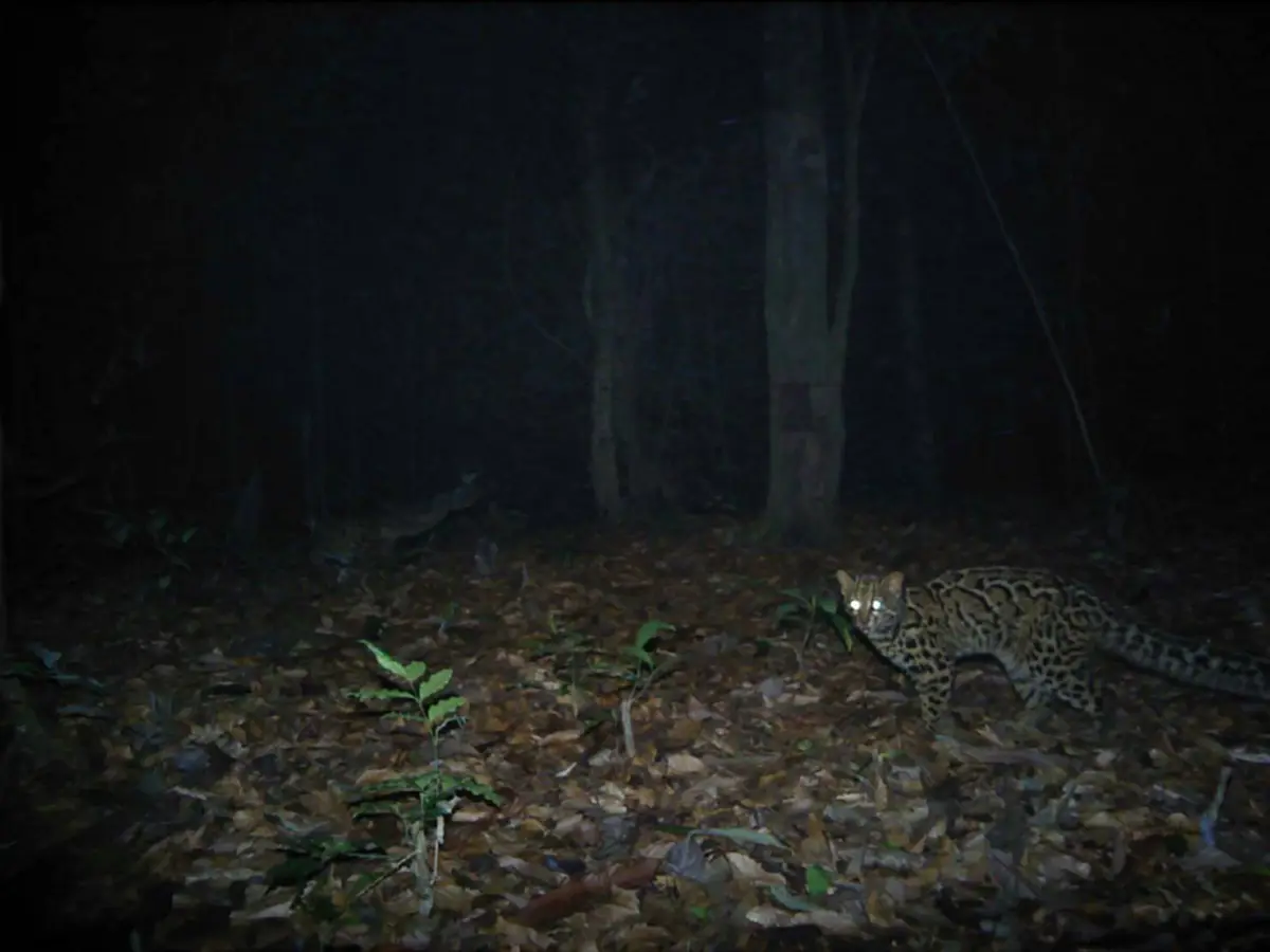 ทุ่งสลักพระ