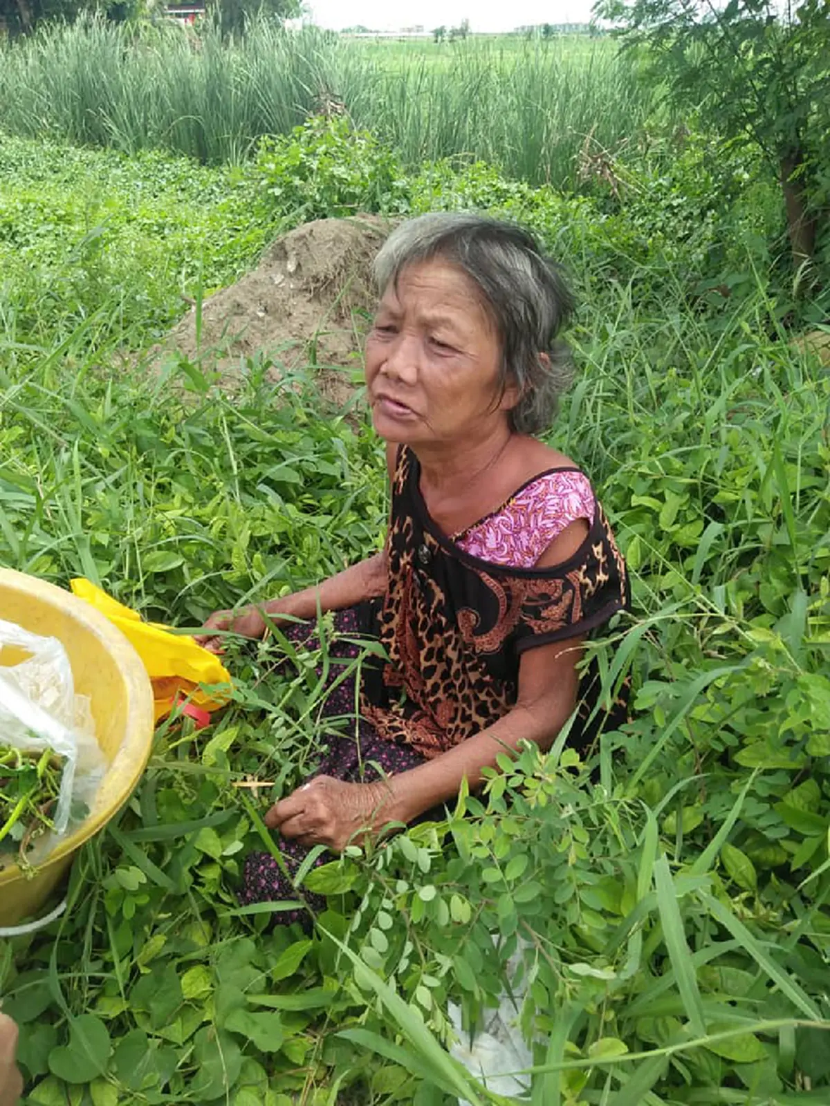 สาวเล่า เห็นยายชรานั่งอยู่ในป่า เดินเข้าไปเตือนมันอันตรายงูมันเยอะ พอถามสาเหตุทำน้ำตาซึม ยื่นเงินให้ทันที ขอให้ยายเจอคนดีๆเข้ามาช่วย