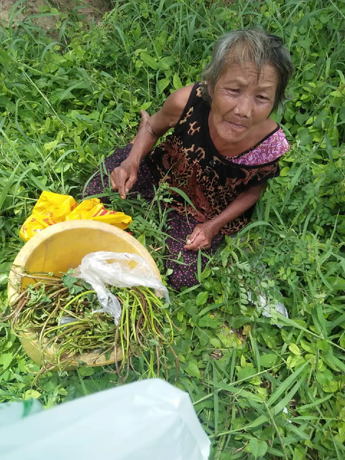 สาวเล่า เห็นยายชรานั่งอยู่ในป่า เดินเข้าไปเตือนมันอันตรายงูมันเยอะ พอถามสาเหตุทำน้ำตาซึม ยื่นเงินให้ทันที ขอให้ยายเจอคนดีๆเข้ามาช่วย