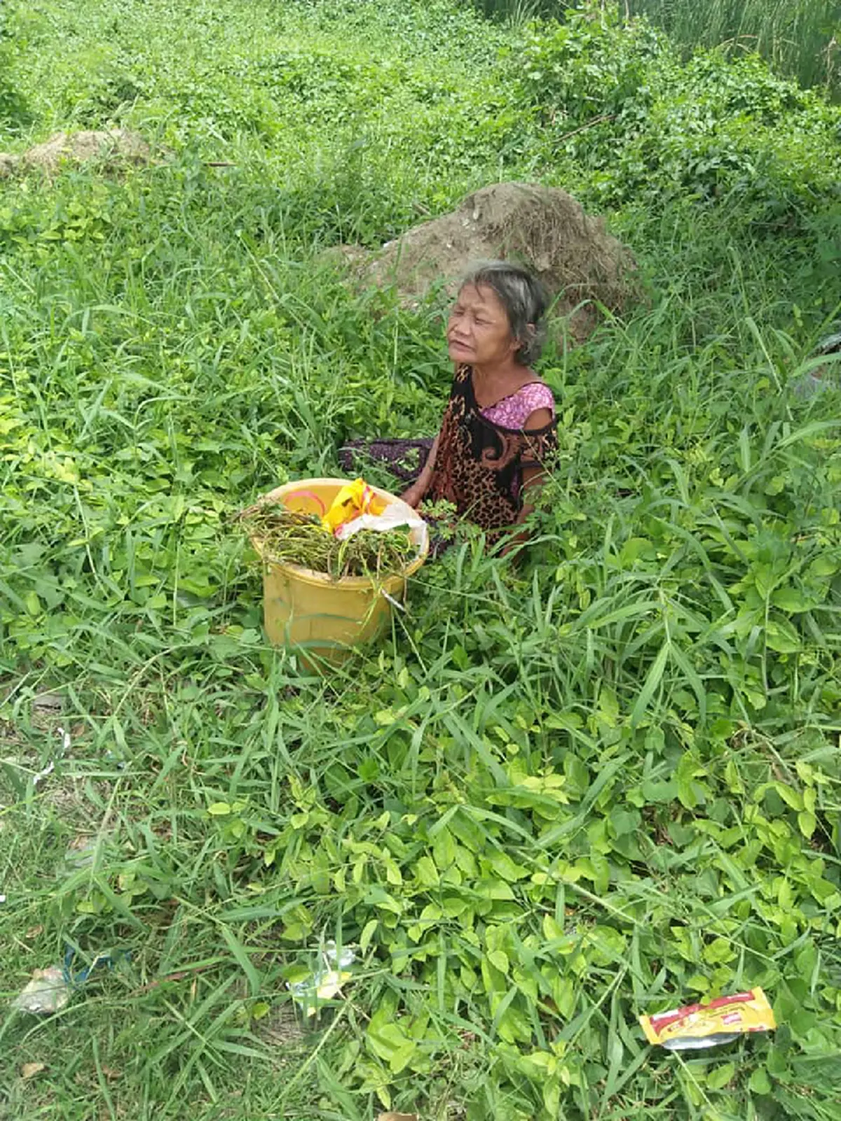 สาวเล่า เห็นยายชรานั่งอยู่ในป่า เดินเข้าไปเตือนมันอันตรายงูมันเยอะ พอถามสาเหตุทำน้ำตาซึม ยื่นเงินให้ทันที ขอให้ยายเจอคนดีๆเข้ามาช่วย