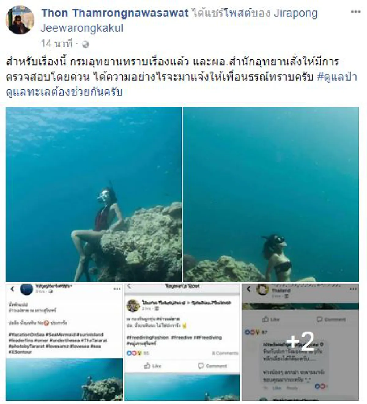 "เปรมชัย" ยังไม่จบ? อ.ธรณ์นำชาวเน็ตล่า สาวประจานตัวเอง โชว์ภาพลักลอบเข้าอ่าวแม่ยาย หมู่เกาะสุรินทร์ ปีนนั่งแนวปะการังอนุรักษ์!?