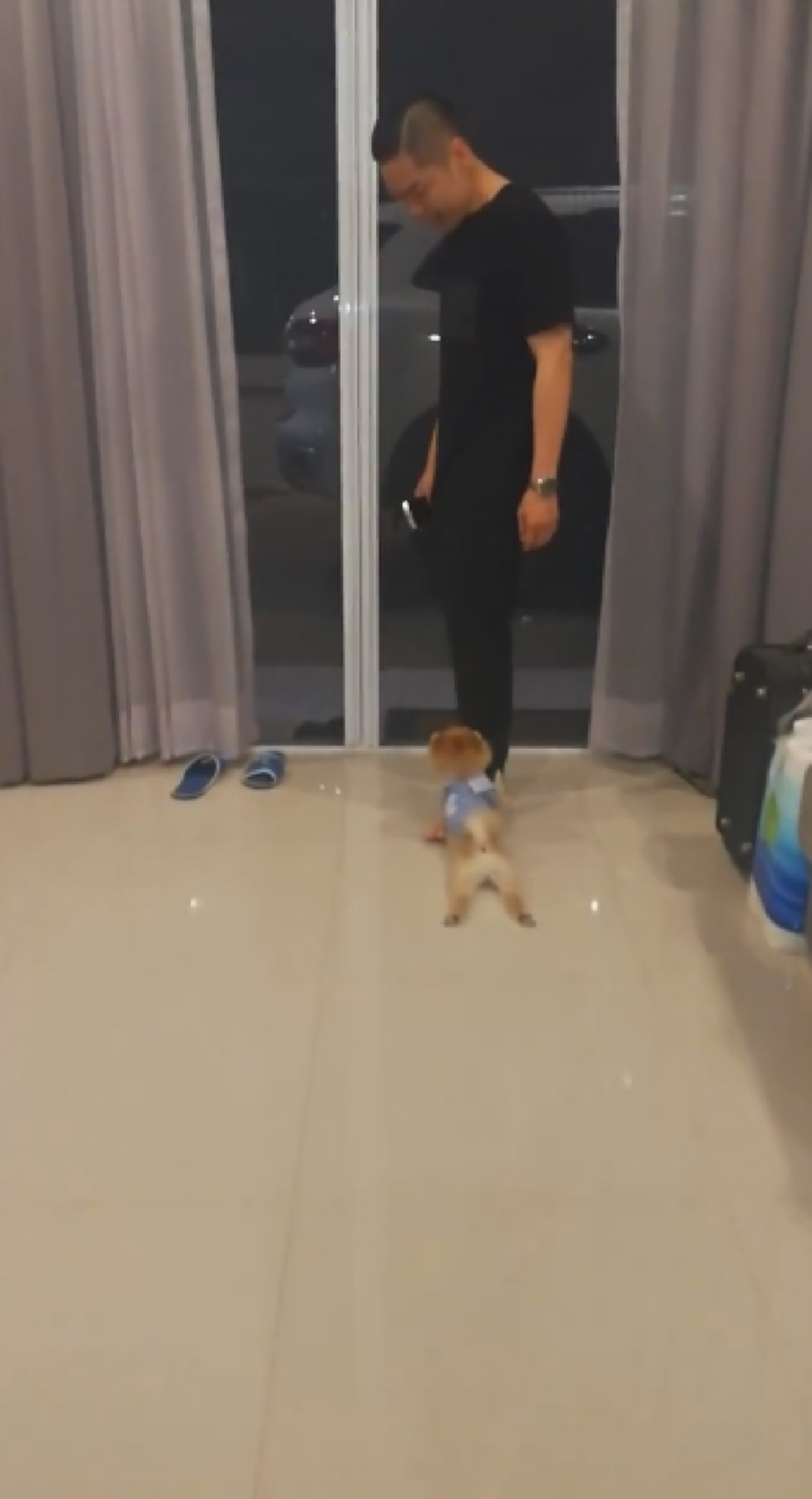 พ่อจ๋าหนูไม่ให้ไป!! "น้องหมา" กอดขาเจ้าของเอาไว้!? ไม่ให้ไปข้างนอก! ทำเอาคนดูถึงกับยิ้มไม่หุบ เอ็นดูในความน่ารัก!! (ชมคลิป)