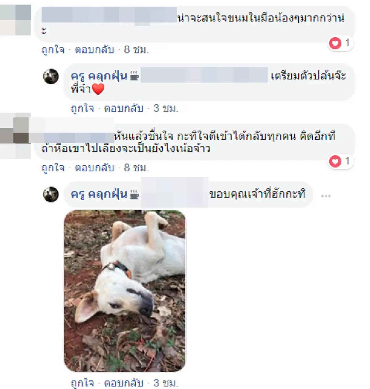 \"เจ้าตูบกะทิ\" เข้ากลุ่มทำกิจกรรมกับน้องๆนักเรียน คุณครูเห็นภาพยังต้องแซว #หมาเนียนเก่ง อีกนิดจะเลื่อนขั้นให้เป็นหัวหน้าห้อง