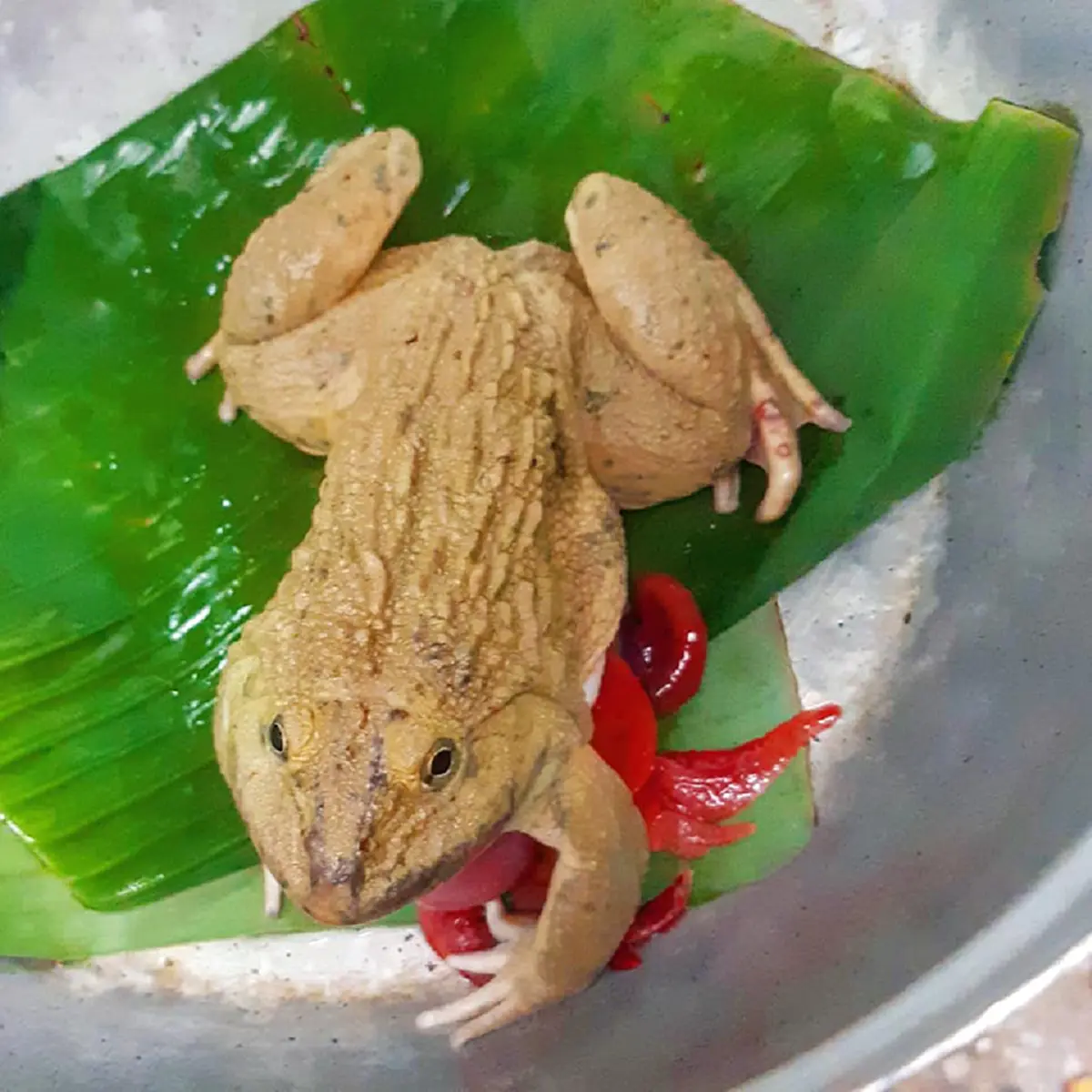 เฟซบุ๊ค Krishnicha Ruenrom