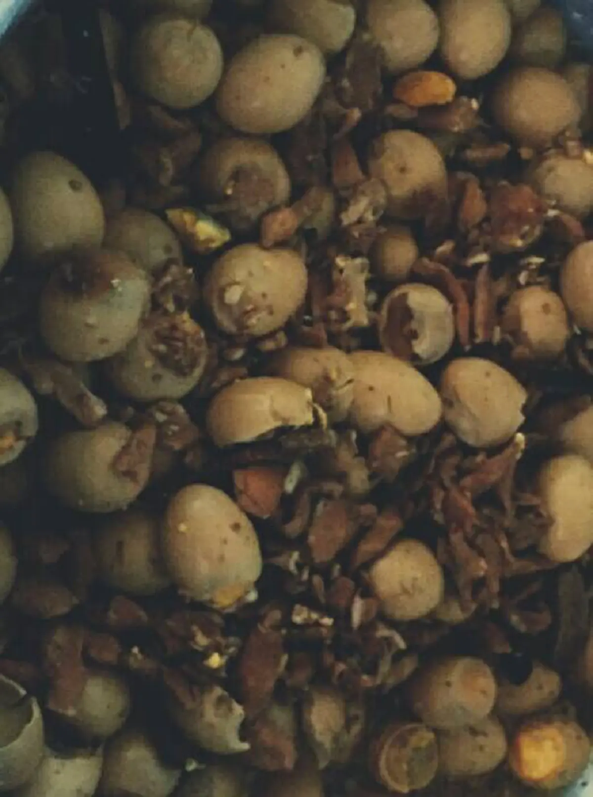 โรงเรียนฉาวให้เด็กนักเรียนกินไข่พะโล้บูด นำไปล้างน้ำแล้วเอากลับมาต้มให้กินอีก