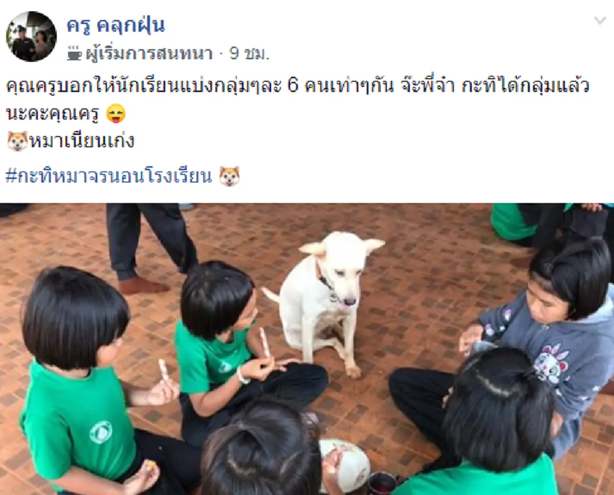 \"เจ้าตูบกะทิ\" เข้ากลุ่มทำกิจกรรมกับน้องๆนักเรียน คุณครูเห็นภาพยังต้องแซว #หมาเนียนเก่ง อีกนิดจะเลื่อนขั้นให้เป็นหัวหน้าห้อง