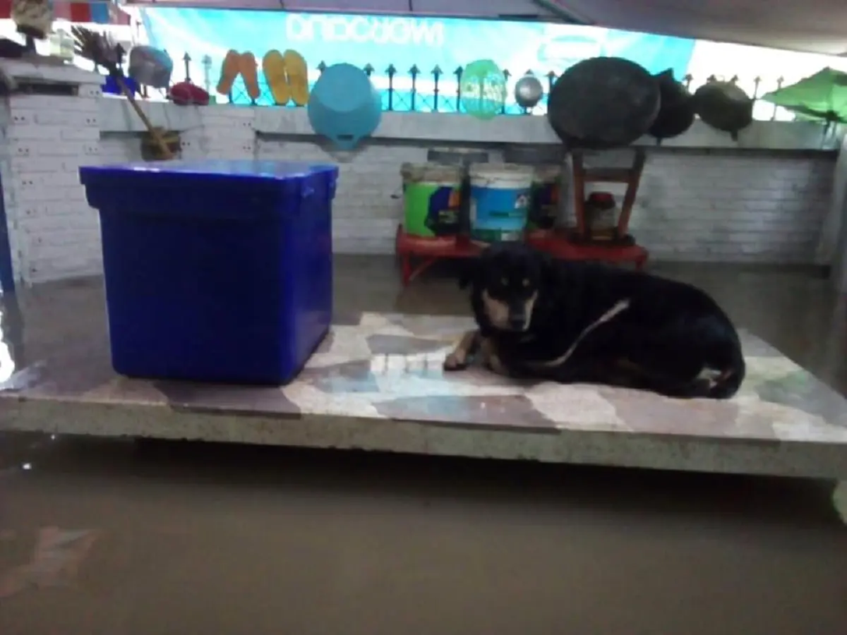 อิทธิพลของพายุโพดุล