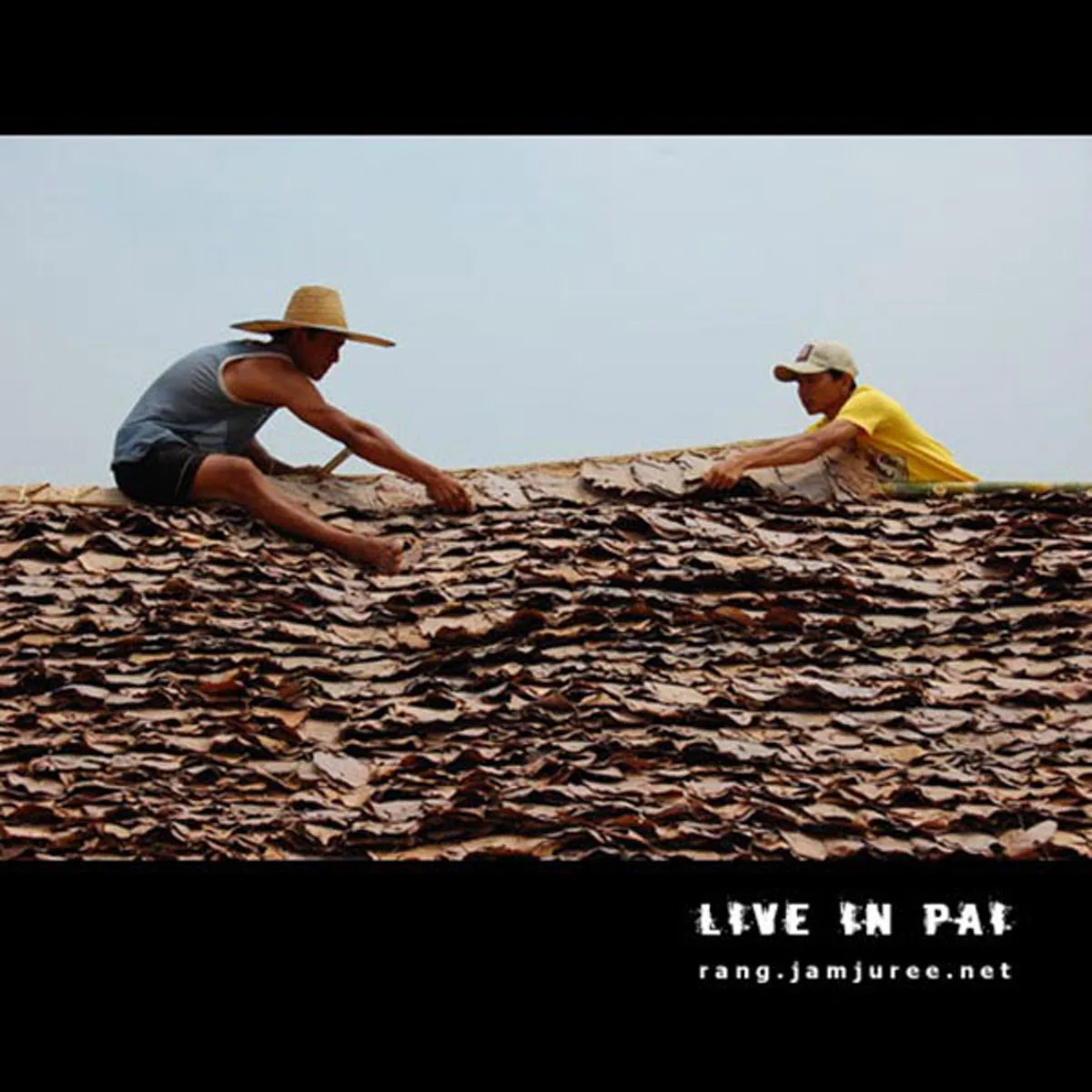 ไอเดียโคตรบรรเจิด!!สามคนพี่น้อง ช่วยกันสร้างกระท่อมไม้ไผ่ไว้อยู่เองหลังเล็กๆ แต่แข็งแรง อยู่ได้ถาวร..พอได้เห็นข้างในแทบตาค้าง มันสุดยอดจริงๆ