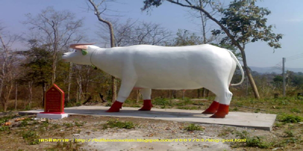 ฝ่าดงอาถรรพ์!! เรื่องเล่า "ภูเขาควาย" ดินแดนพิศวงซับซ้อนหลากมิติ  แหล่งพำนักของพระบังบด-ตำนานหินกินเหล็ก