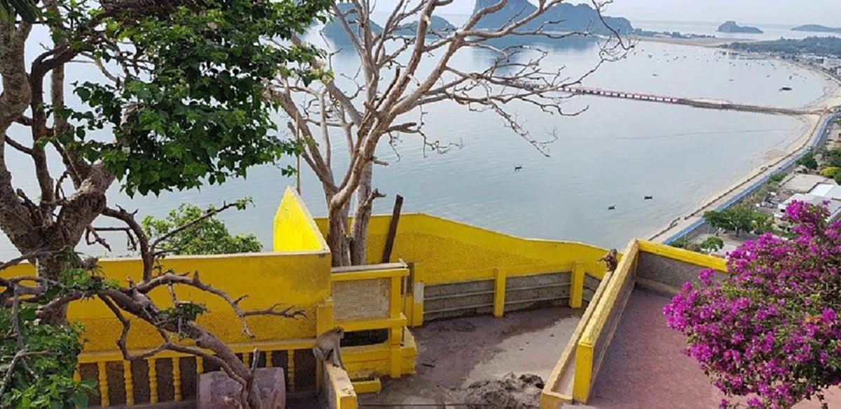 ข่าวดีสุดปลื้มใจ! ศรีมหาโพธิ์ แตกต้นอ่อนขึ้นใหม่แล้ว จุดเดิมที่ถูกเจ้าอาวาสโค่นทิ้ง